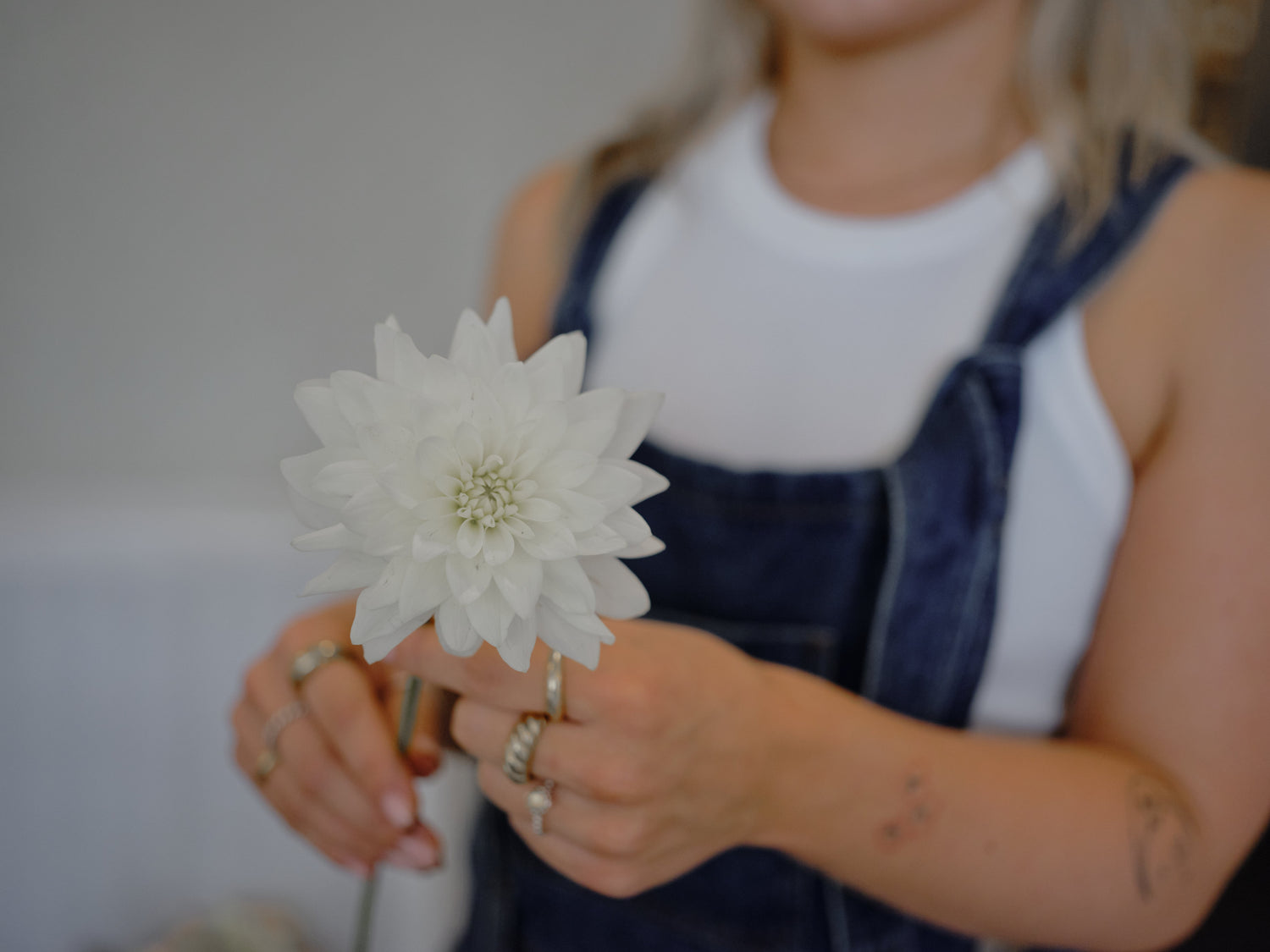 Events & workshops